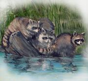 animal illustration in nature