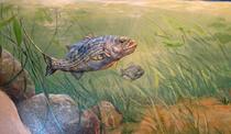 nature illustration